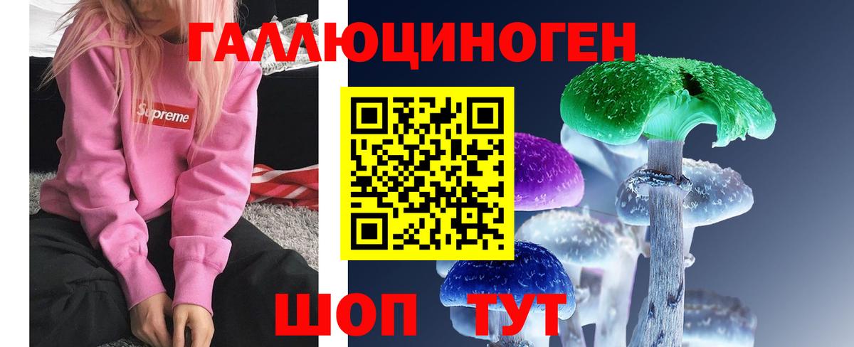 Галлюциногенные грибы MAGIC MUSHROOMS  Вход с VPN  Минеральные Воды 